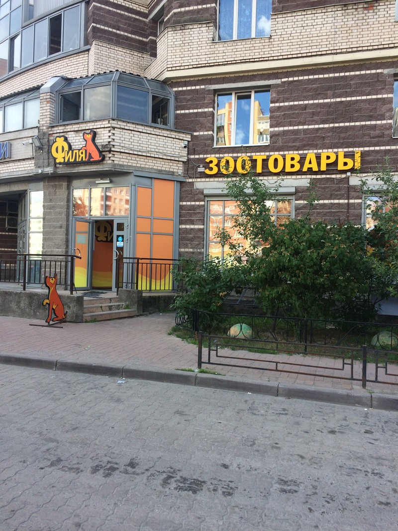 Луначарского 15